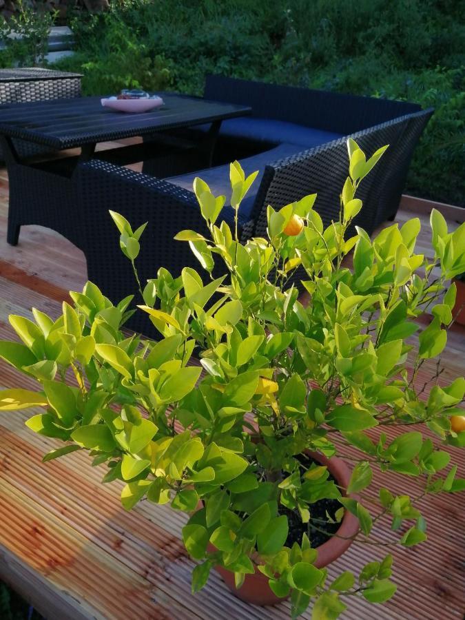 Apartment Ferienwohnung Wettin